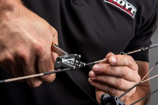 Important to inspect bow and arrows pre hunting season