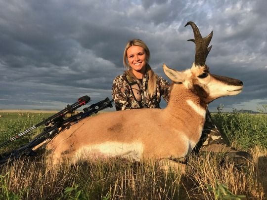 Hoyt Tagged Out - Early Season Hunts